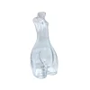Carafe En Verre (Clair)