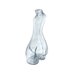 Carafe En Verre (Clair)