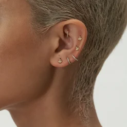 Francais Pour Bonne Nuit Stud