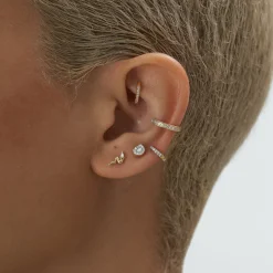 Goujon Bancal En Forme De Larme