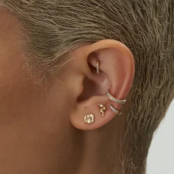 Goujon De Fous De Rubis