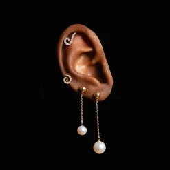 Goujon Tourbillonnant